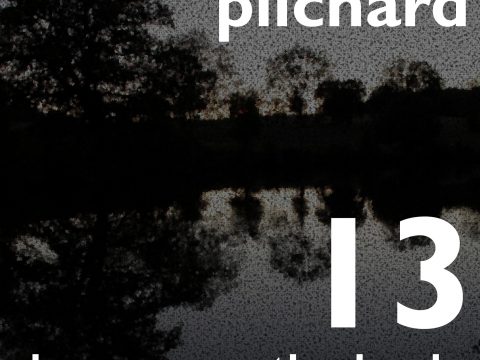 Pilchard 13 Degrees Mostly Cloudy album art