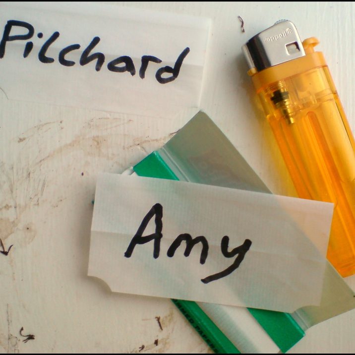 Pilchard Amy album art