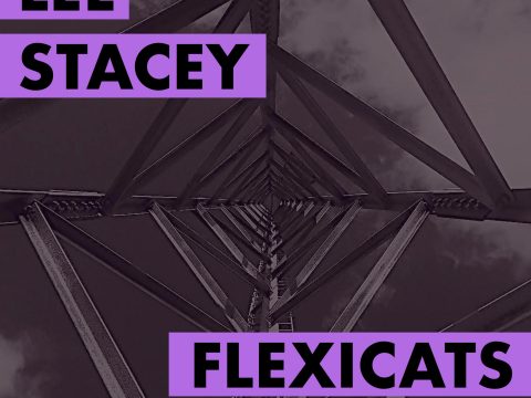 Flexicats album artwork